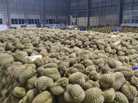 Ảnh thực tế Máy BEST-RIPE