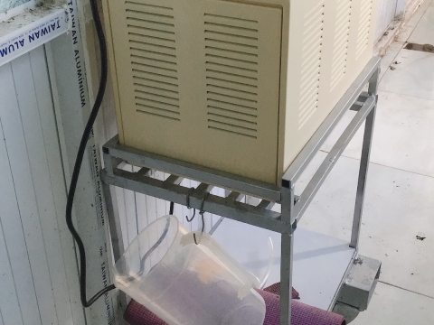 Ảnh thực tế Máy BEST-RIPE