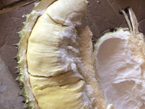 Ảnh thực tế Máy BEST-RIPE