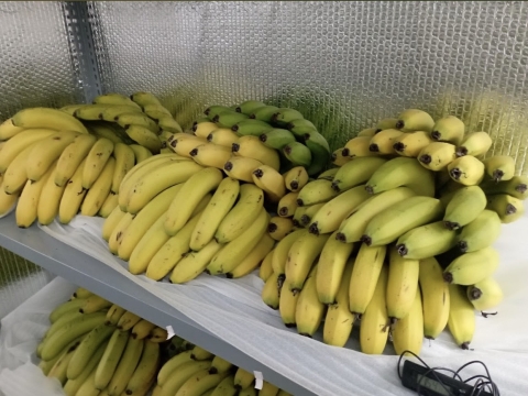 Ảnh thực tế Máy BEST-RIPE