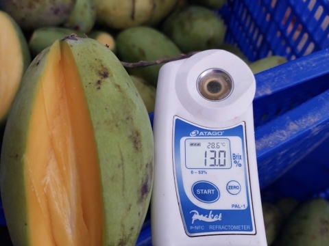 Ảnh thực tế Máy BEST-RIPE