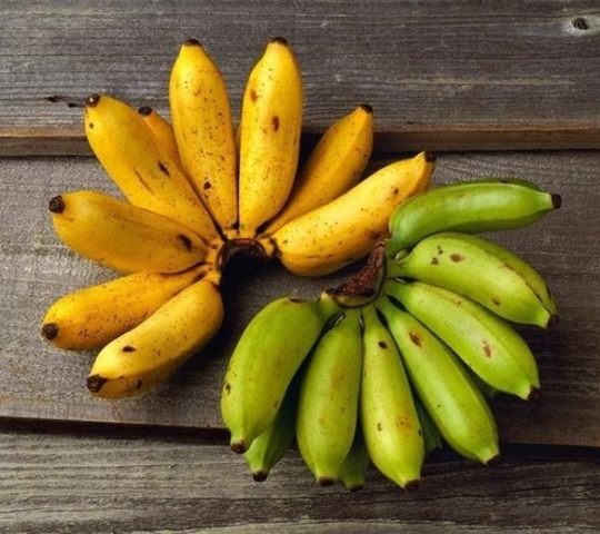 Ứng dụng của khí ethylene trong ủ chín hoa quả: xoài, chuối…