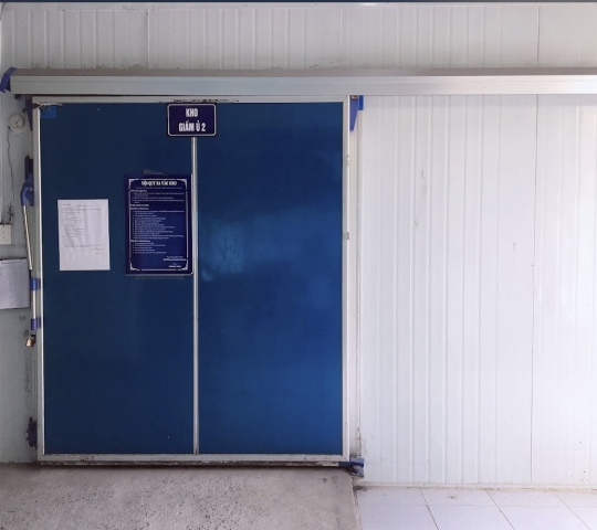 Làm chín sầu riêng bằng máy phát khí ethylene